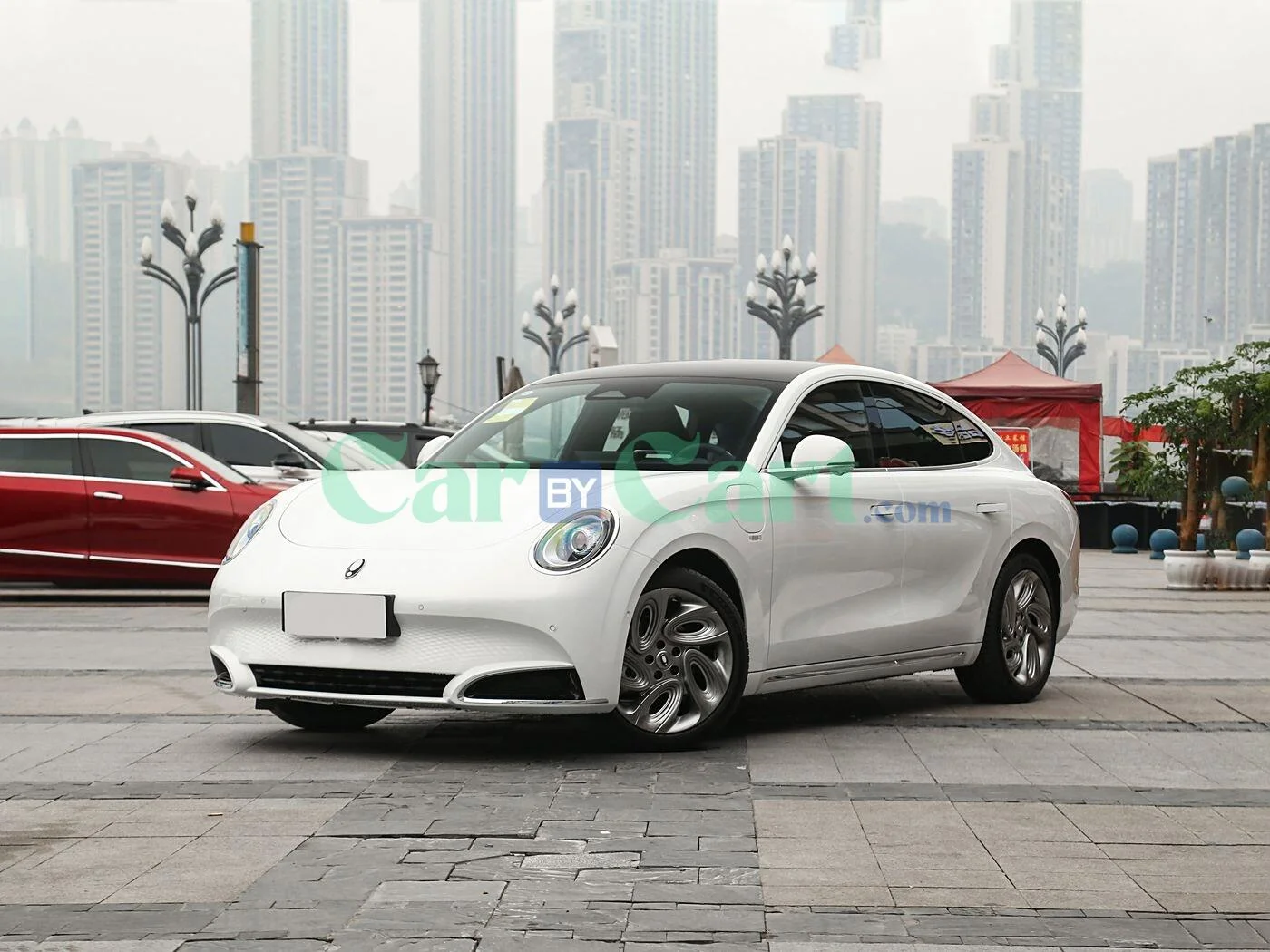 ORA ORA Lightning Cat 2025