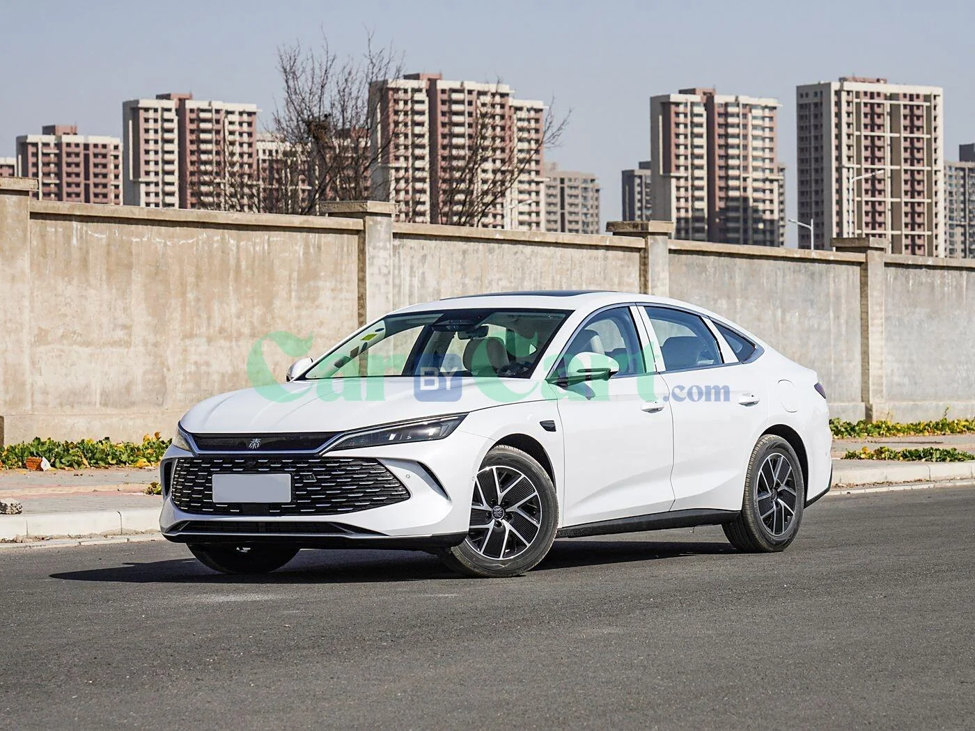 BYD QIN L DM-i SMART 2025