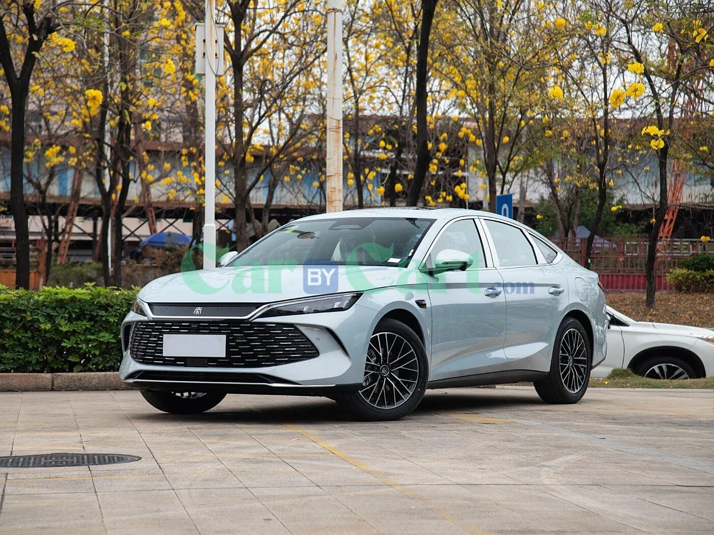 BYD QIN L DM-i SMART 2025