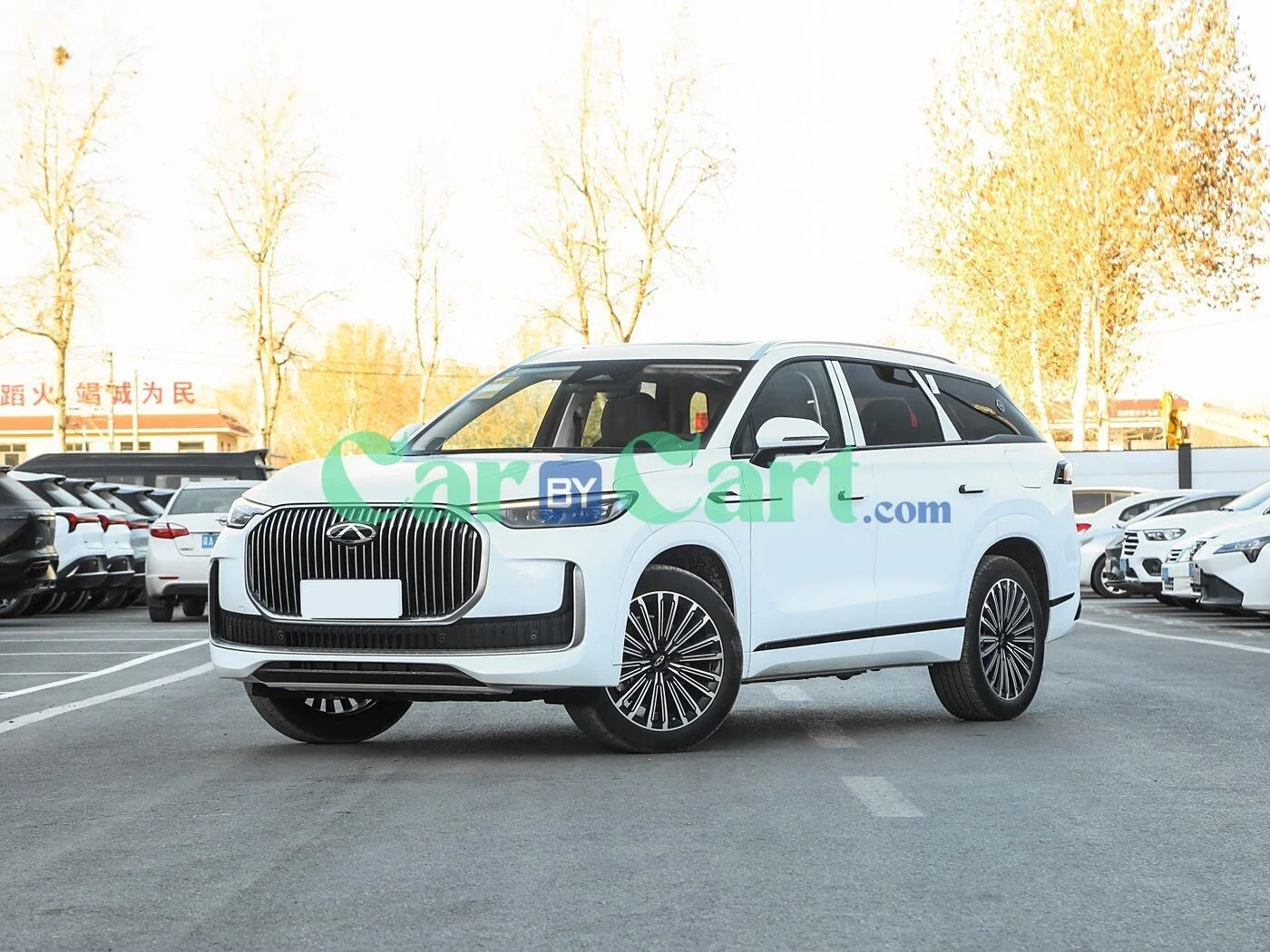 Chery Ruihu 9 C-DM 2025