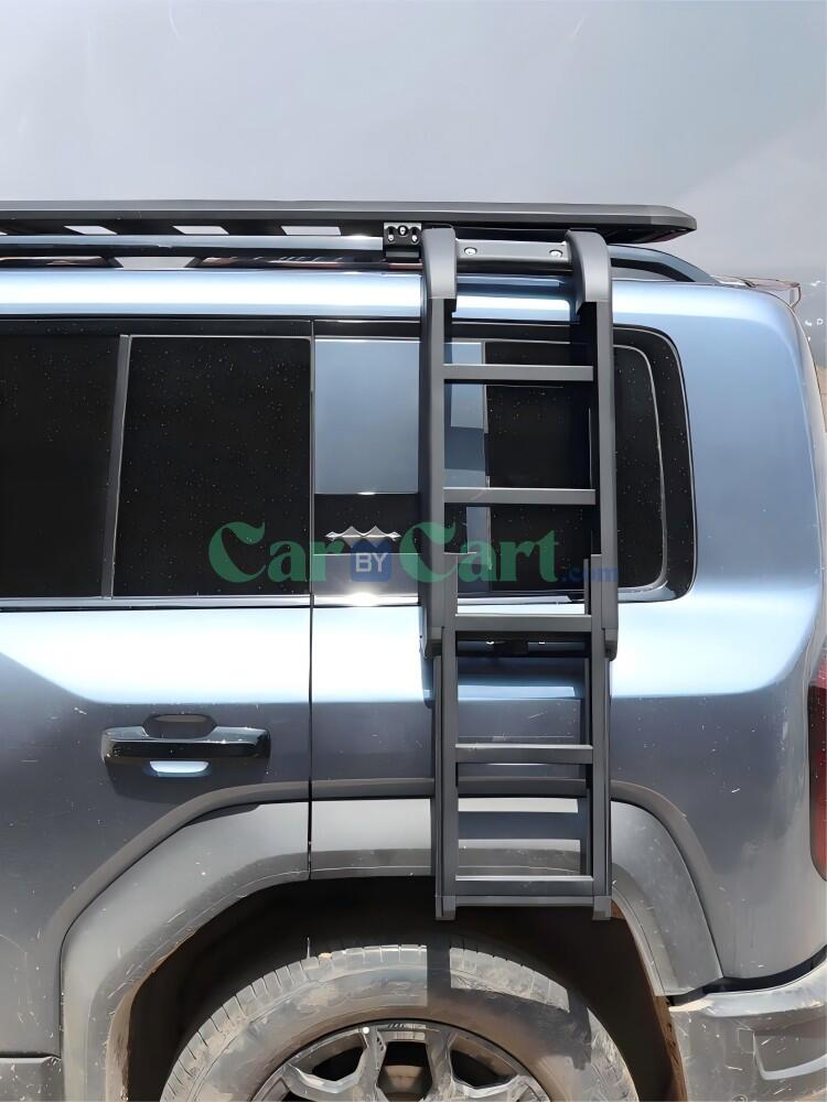 Formula Leopard 5 Side climbing ladder