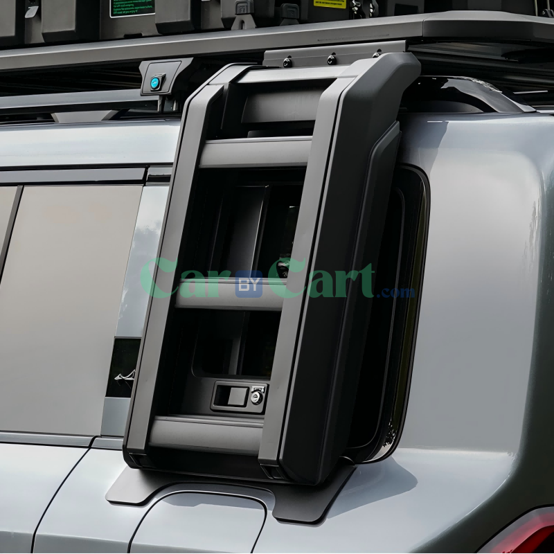 Formula Leopard 5 Side climbing ladder