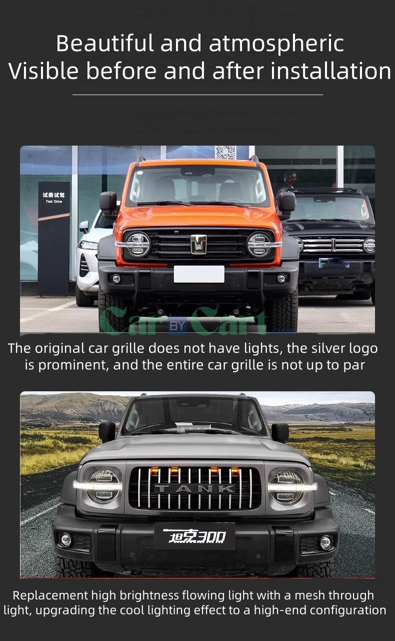 2025 TANK 300 HIT-4 Off road front grille