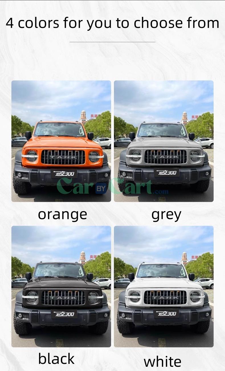 2025 TANK 300 HIT-4 Off road front grille