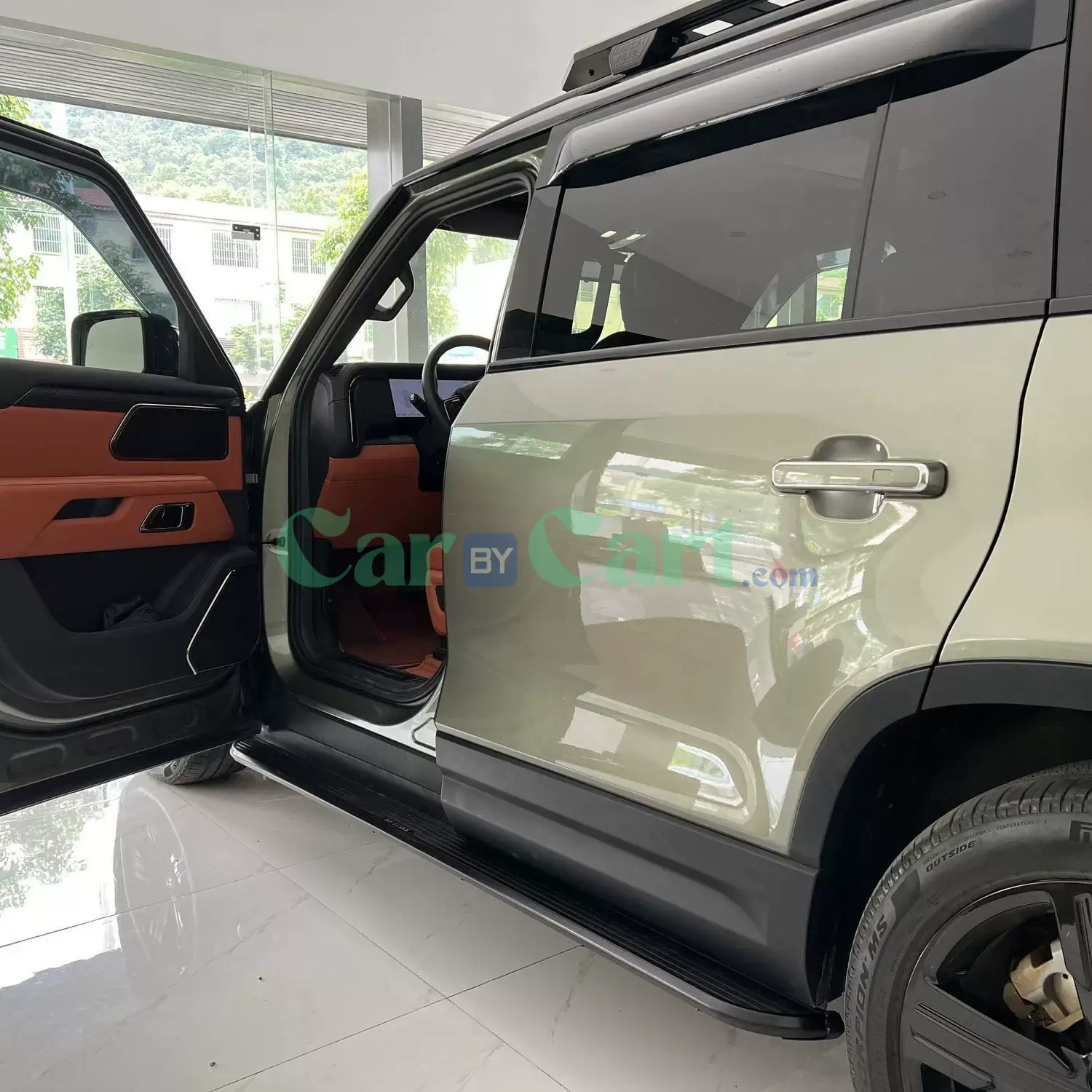 2025 ROX 01 fixed pedal