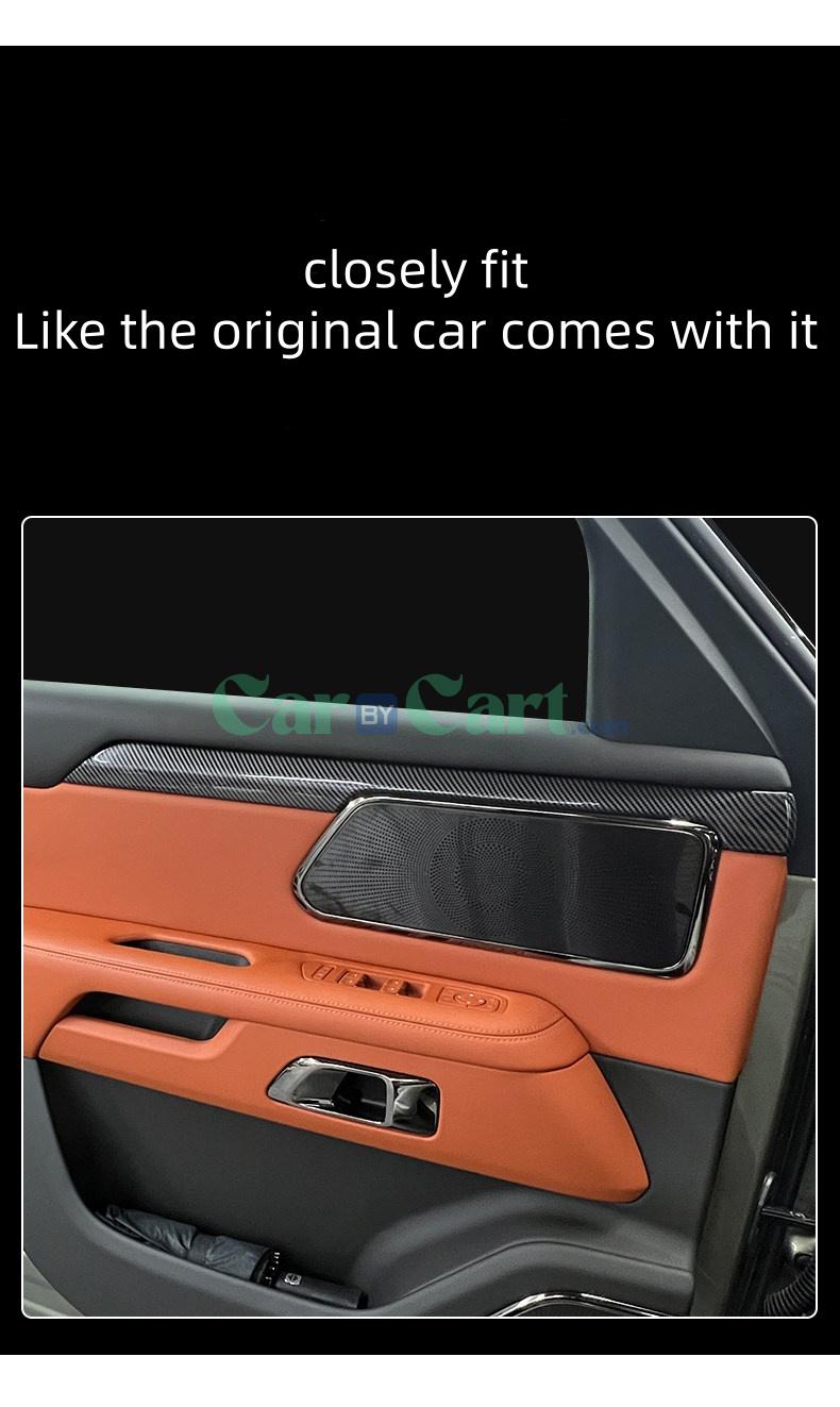 2025 ROX 01 car door trim