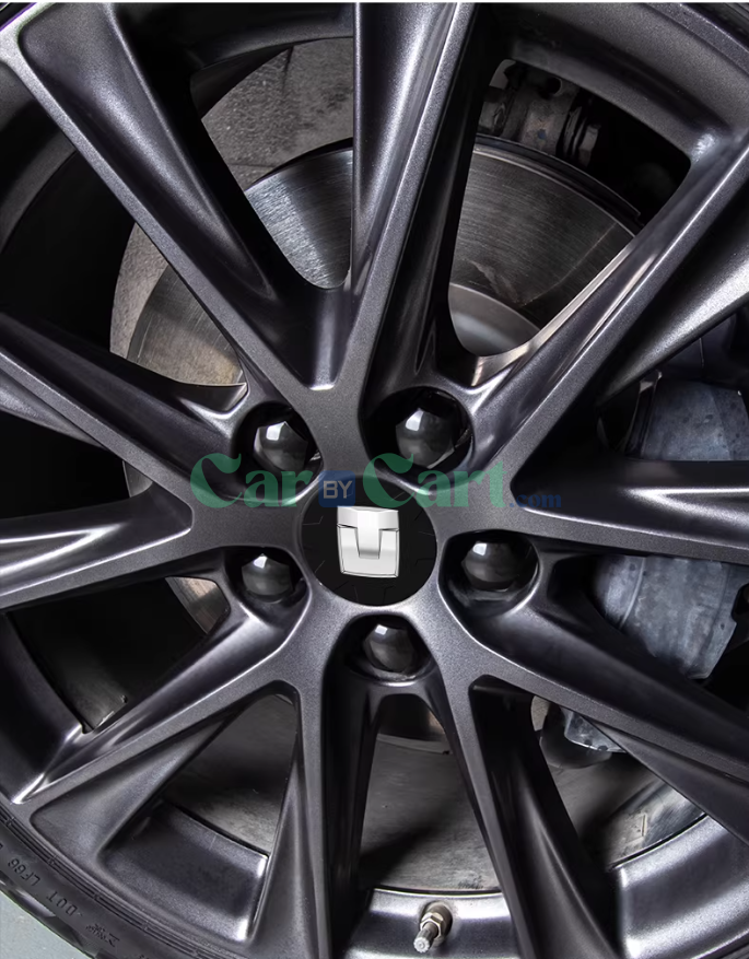 2025 TANK 300 Tire logo cover